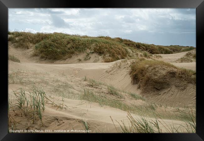 scenic sand dunes at Lakolk on the island Rømø Framed Print by Stig Alenäs