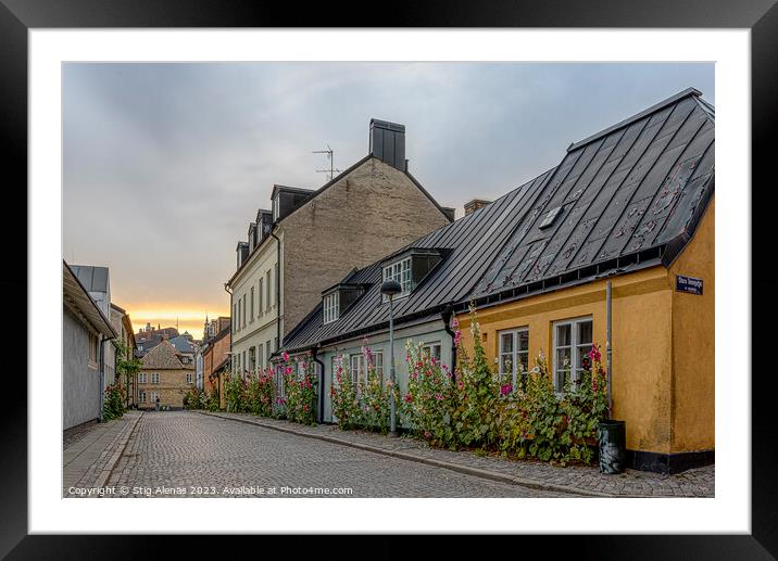 picturesque alley with  hollyhocks in the sunset in Lund Framed Mounted Print by Stig Alenäs