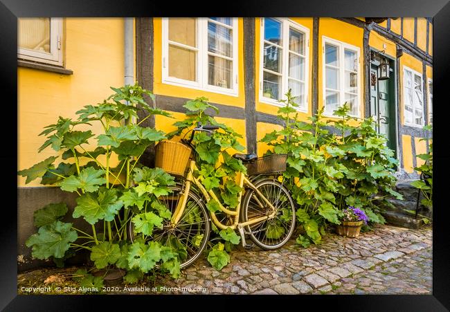 a bicycle at a house-wall, overgrown by hollyhocks Framed Print by Stig Alenäs