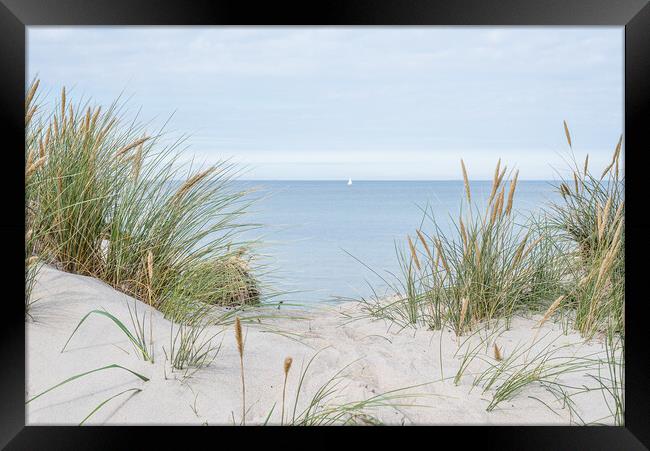 dunes with swaying beach rye and a sailboat at the horizon Framed Print by Stig Alenäs
