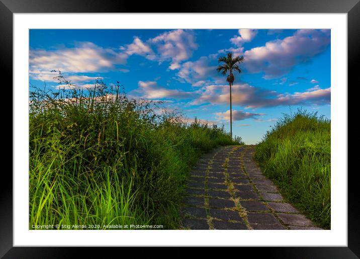 Campuhan Ridge Walk, a tropical trail over the hills at Bali   Framed Mounted Print by Stig Alenäs