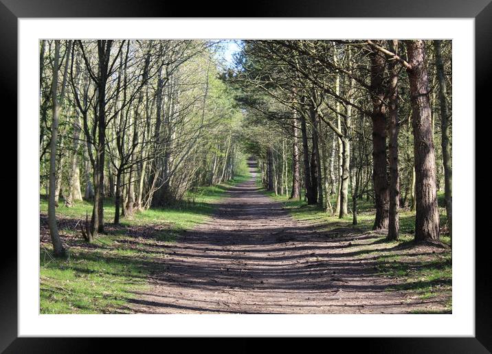 Tree tunnel Framed Mounted Print by Kevin Croft