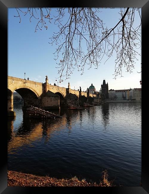 Charles bridge Framed Print by Kevin Croft