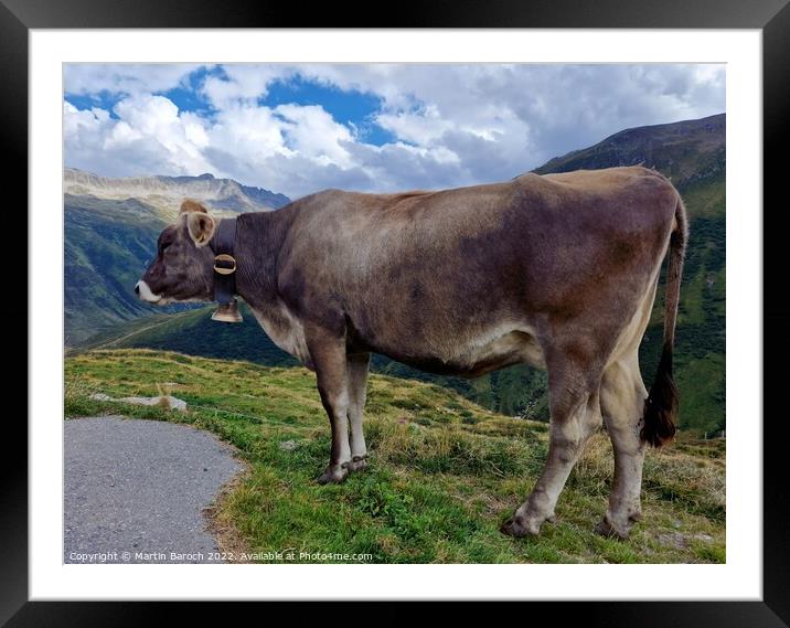 Swiss Alpine cow Framed Mounted Print by Martin Baroch