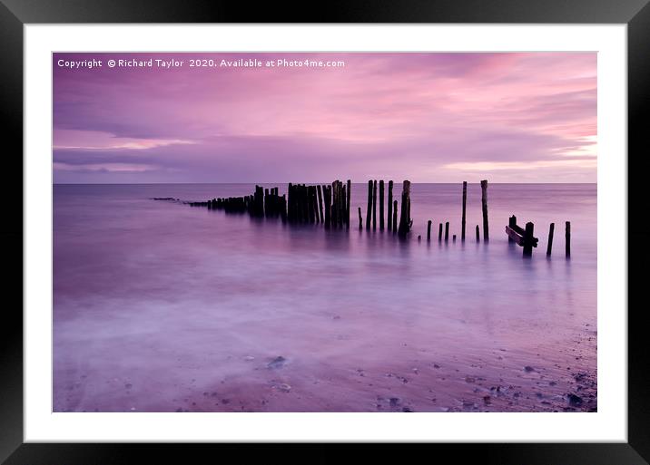 Pink Sumset Framed Mounted Print by Richard Taylor