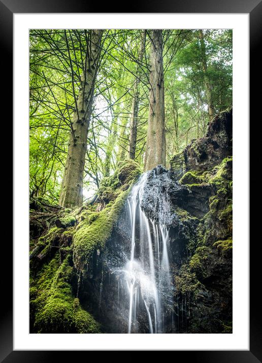 Wild waters within the dark woods Framed Mounted Print by Steve Taylor