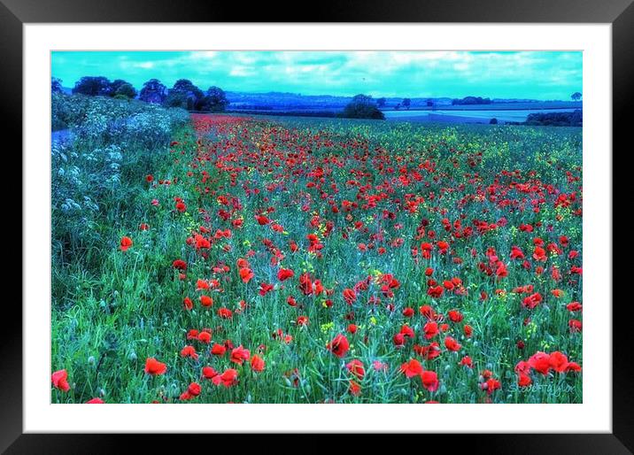Monet poppy fields  Framed Mounted Print by Steve Taylor