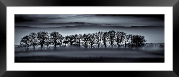 Tree Silhouettes in Mist Framed Mounted Print by Mick Blakey