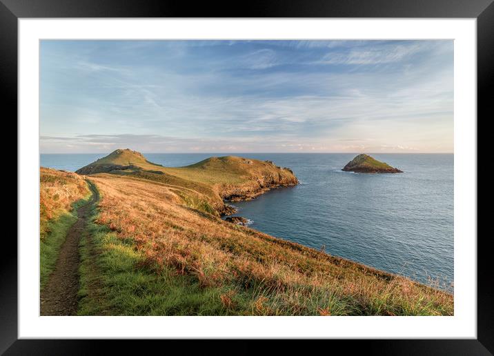 Golden Hour, The Rumps, Cornwall Framed Mounted Print by Mick Blakey