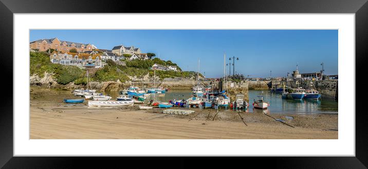 Newquay Harbour  Framed Mounted Print by Mick Blakey