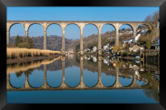 Tamar Reflections, Calstock Viaduct, Cornwall Framed Print by Mick Blakey