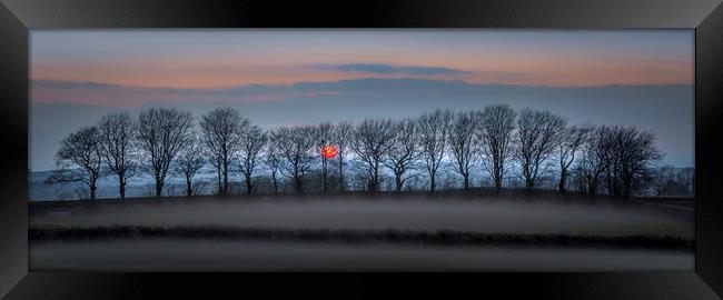 Moorland Tree Silhouettes, Dartmoor, Devon Framed Print by Mick Blakey