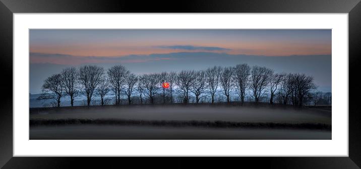 Moorland Tree Silhouettes, Dartmoor, Devon Framed Mounted Print by Mick Blakey