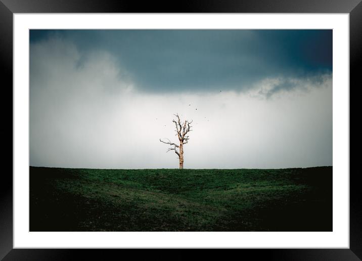 Lonely Tree Framed Mounted Print by Mark Jones