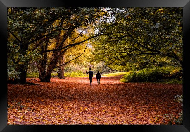 Hampstead Heath in Autumn Framed Print by Mark Jones