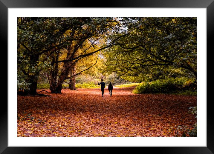 Hampstead Heath in Autumn Framed Mounted Print by Mark Jones