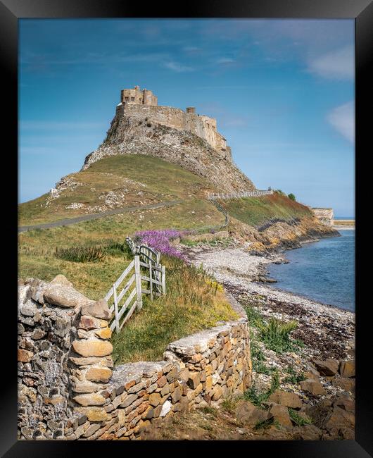 Holy Island, Lindisfarne Castle Framed Print by Mark Jones