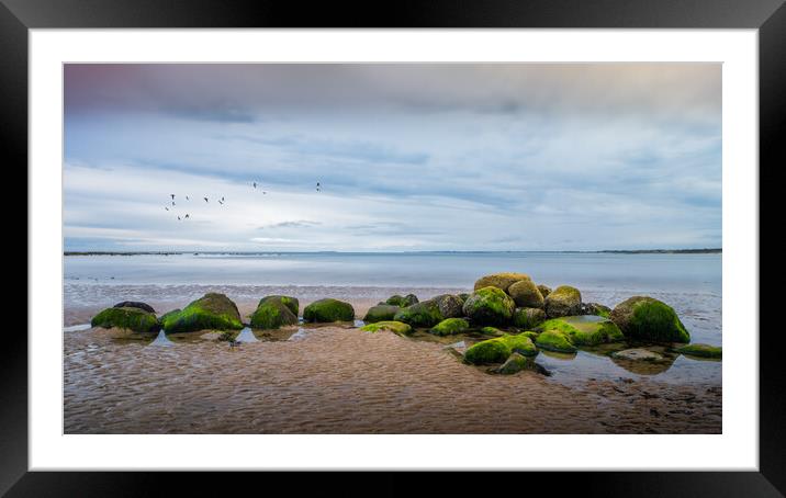 Rocks, Alnmouth Beach Framed Mounted Print by Mark Jones