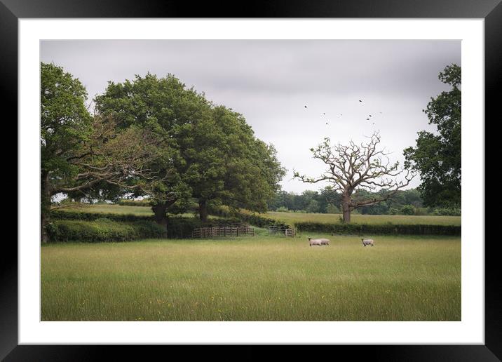 Sussex Landscape Framed Mounted Print by Mark Jones