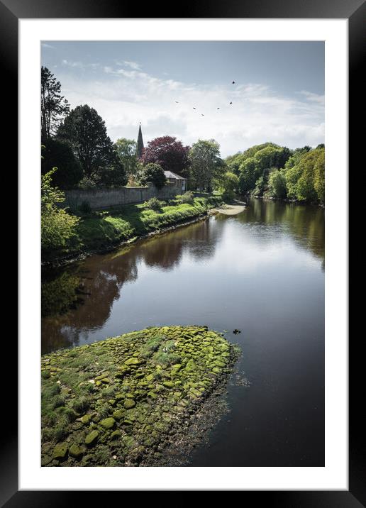 The River Aln at Alnwick, Northumberland Framed Mounted Print by Mark Jones