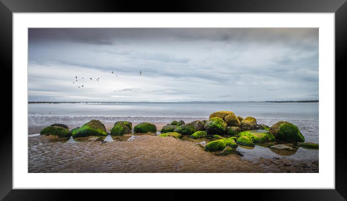 On Alnmouth Beach Framed Mounted Print by Mark Jones