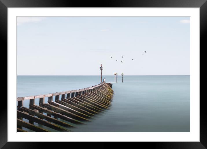 Littlehampton West Beach Pier Framed Mounted Print by Mark Jones