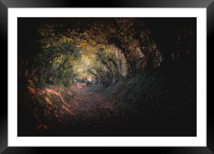 Halnaker Tree Tunnel Framed Mounted Print by Mark Jones