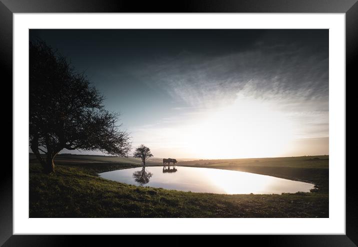 Cows at the Pond Framed Mounted Print by Mark Jones