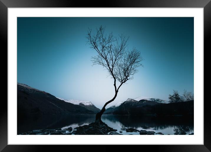 Lonely Tree Framed Mounted Print by Mark Jones