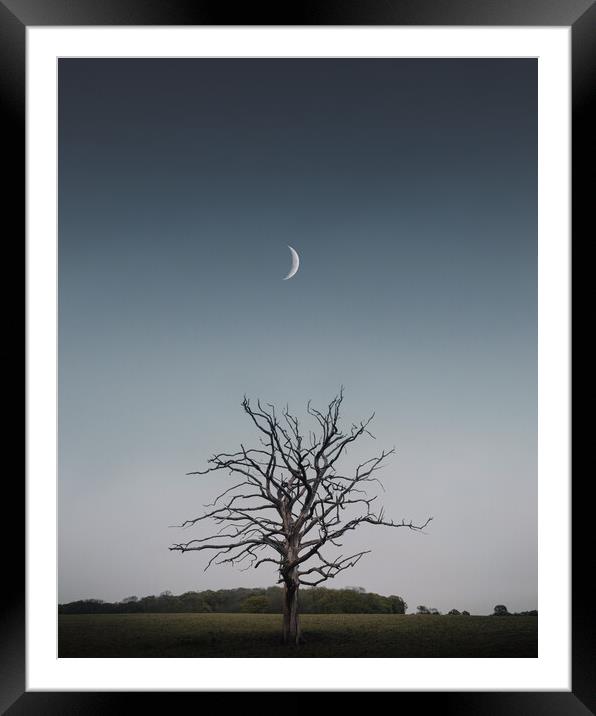Crescent Moon and Tree Framed Mounted Print by Mark Jones