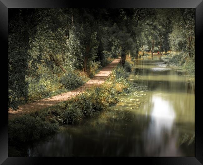 The Tow Path Framed Print by Mark Jones