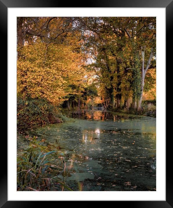 Autumn on the Canal Framed Mounted Print by Mark Jones