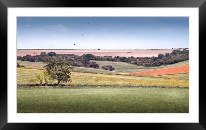 South Downs Framed Mounted Print by Mark Jones