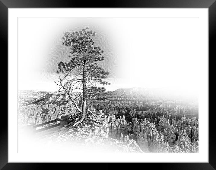 Most beautiful places on Earth - Bryce Canyon National Park in U Framed Mounted Print by Erik Lattwein