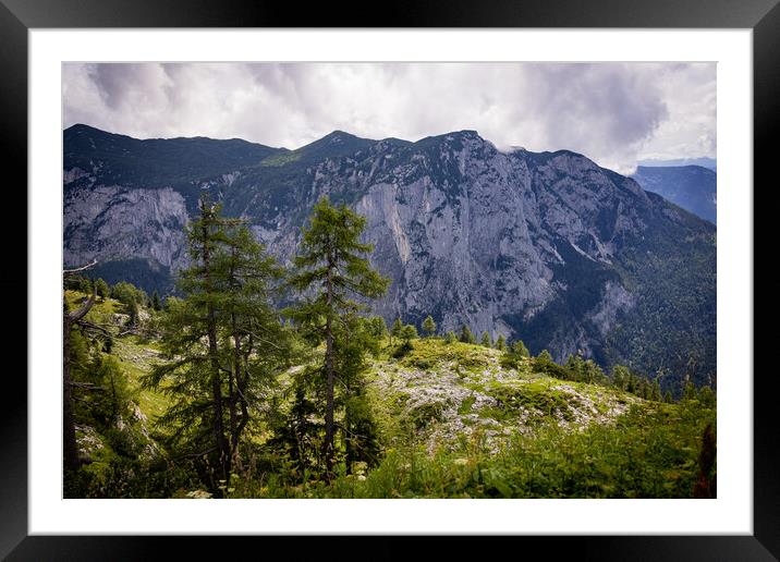 Amazing scenery and typical landscape in Austria - the Austrian Alps Framed Mounted Print by Erik Lattwein