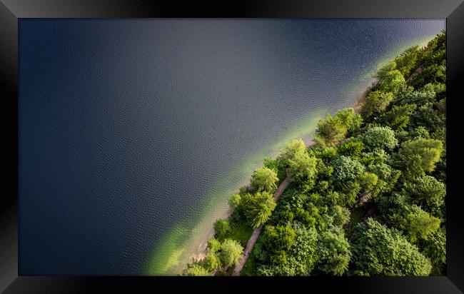 Fir trees and a lake from above - top down view Framed Print by Erik Lattwein