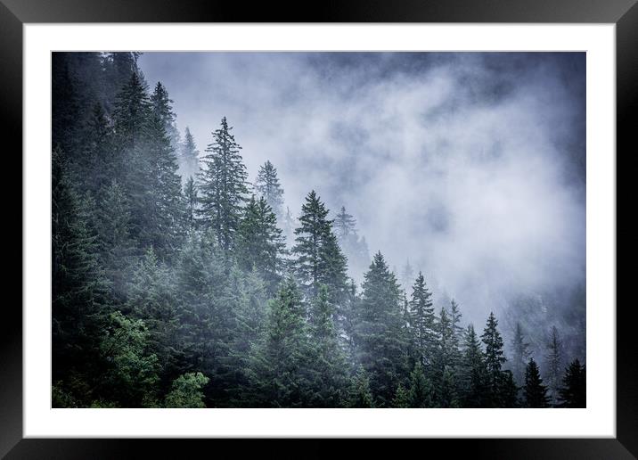Mist in the fir tree forest of the Austrian Alps - great mountain view Framed Mounted Print by Erik Lattwein