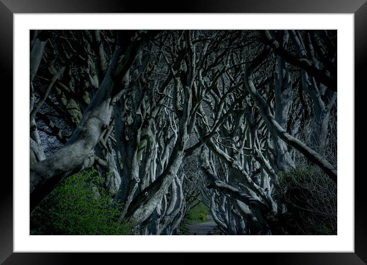 The Dark Hedges in Northern Ireland - amazing nature Framed Mounted Print by Erik Lattwein