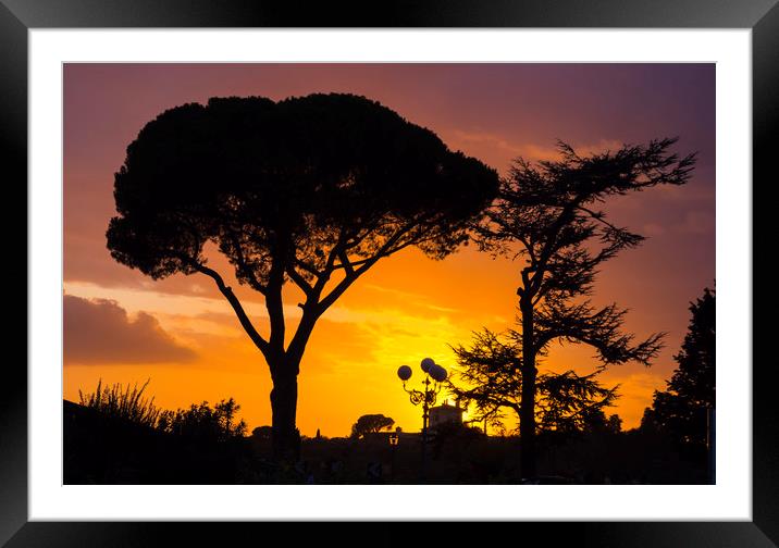 Silhouette of Italian Stone Pine oder Umbrella Pin Framed Mounted Print by Erik Lattwein