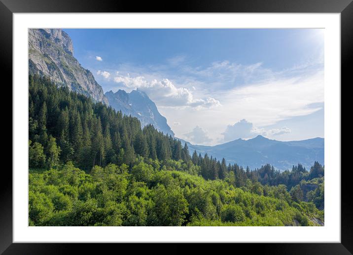 Wonderful nature and landscapes in Switzerland - t Framed Mounted Print by Erik Lattwein