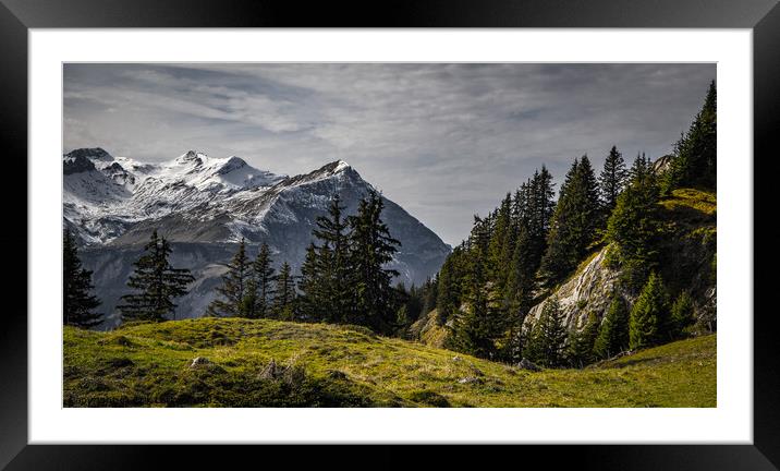 Wonderful panoramic view over the Swiss Alps - view from Schynige Platte Mountain Framed Mounted Print by Erik Lattwein