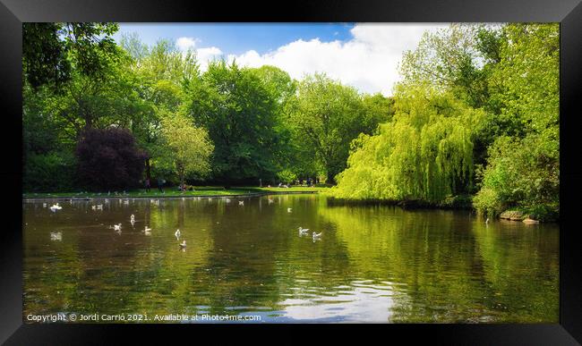 Lake of St Stephen's Green Framed Print by Jordi Carrio