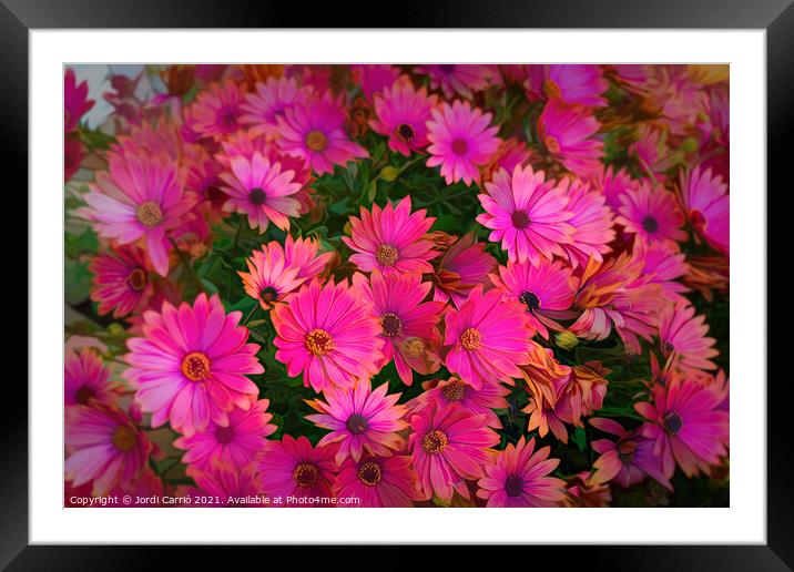 Dance of Daisies at Sunset - CR2105-5278-PIN-R Framed Mounted Print by Jordi Carrio