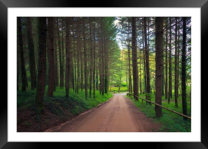 Path through the pine forest - Orton glow Edition  Framed Mounted Print by Jordi Carrio