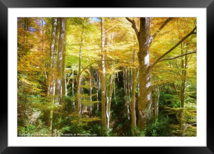 Majestic Beech Forest in Autumn - C1510-3374-PIN-R Framed Mounted Print by Jordi Carrio