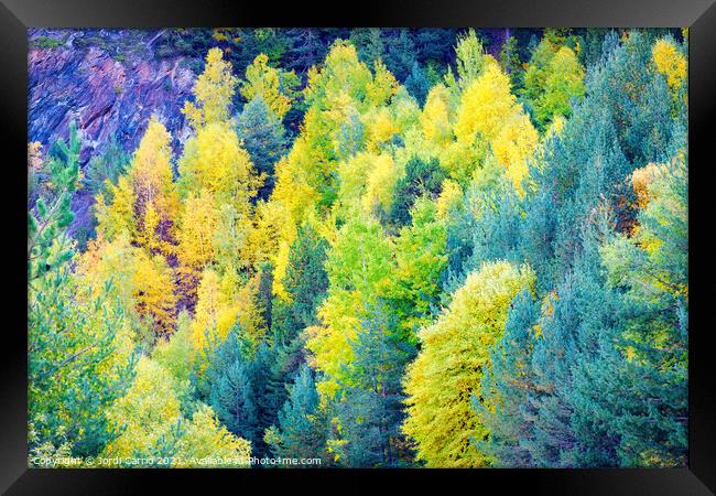 Autumn colors in the woods - Orton glow Edition  Framed Print by Jordi Carrio