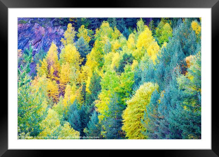 Autumn colors in the woods - Orton glow Edition  Framed Mounted Print by Jordi Carrio