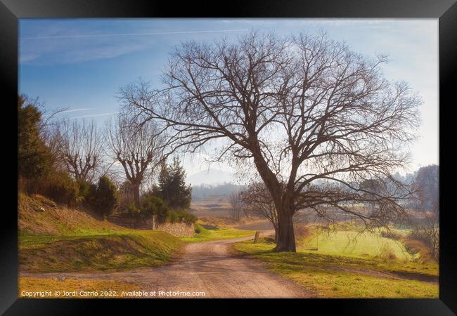Rural road in winter - C1512-4042-GRACOL Framed Print by Jordi Carrio