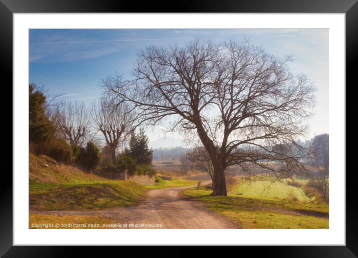 Rural road in winter - C1512-4042-GRACOL Framed Mounted Print by Jordi Carrio