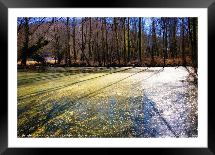 La Moixina wetlands in winter, La Garrotxa - 4 - Framed Mounted Print by Jordi Carrio